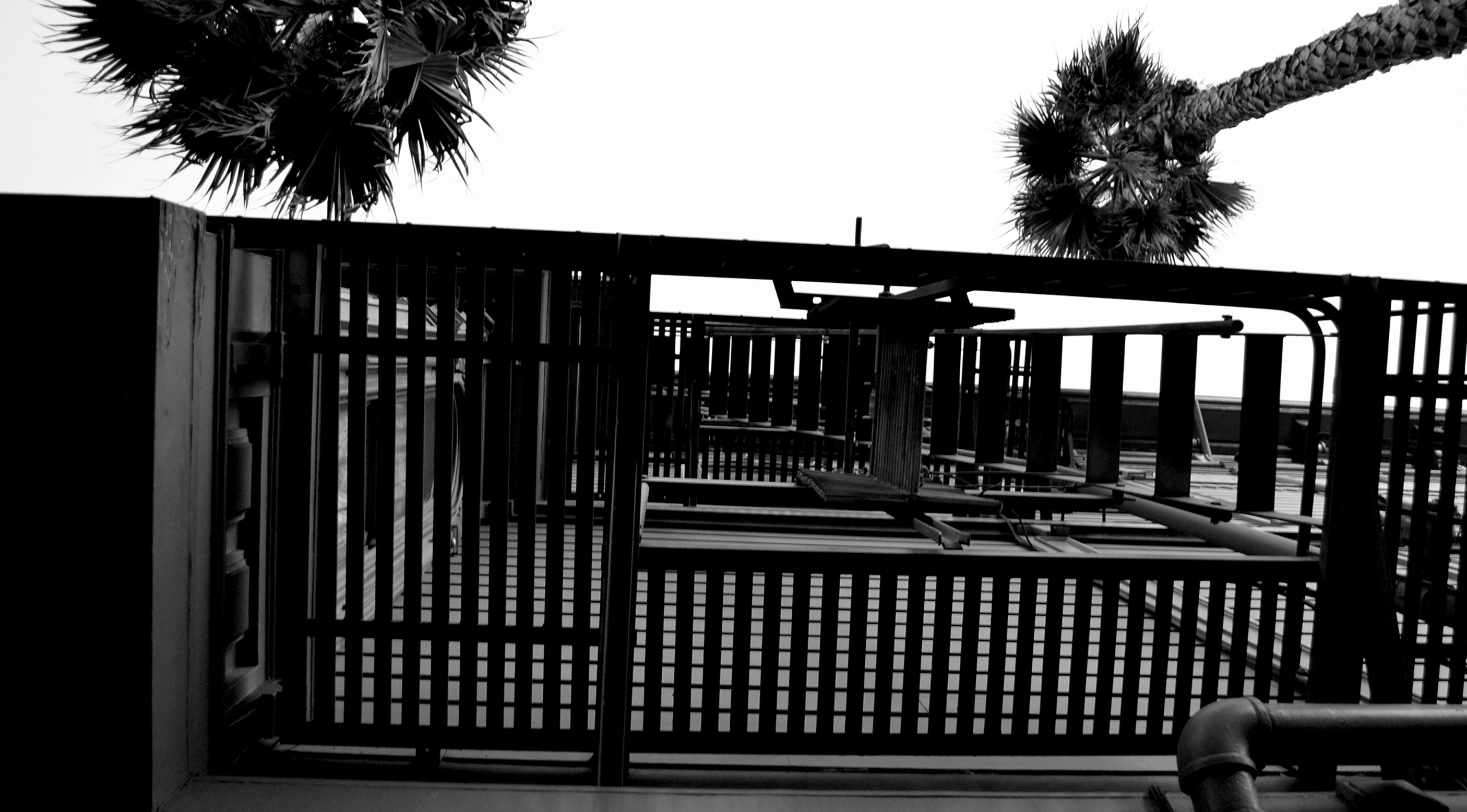 B&W Photography